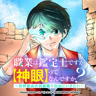 職業は鑑定士ですが【神眼】ってなんですか？