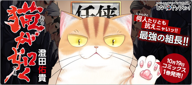 猫が如く / 澄田佑貴 おすすめ無料漫画 - ニコニコ漫画