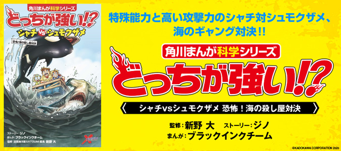 どっちが強い!? シャチvsシュモクザメ 恐怖！海の殺し屋対決 / 新野 大