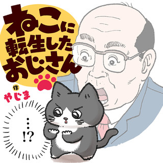 ねこに転生したおじさん