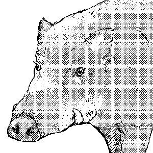 罠ガール 緑山のぶひろ おすすめ漫画 ニコニコ漫画