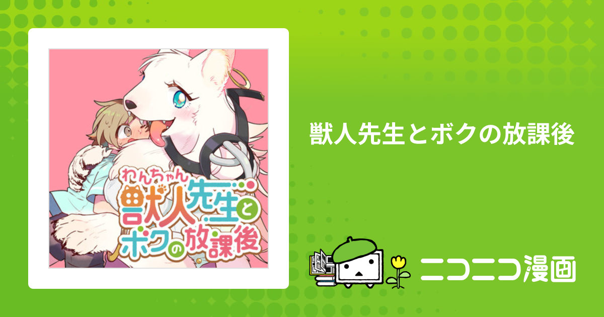 獣人先生とボクの放課後 / 野崎りくこ(著者)