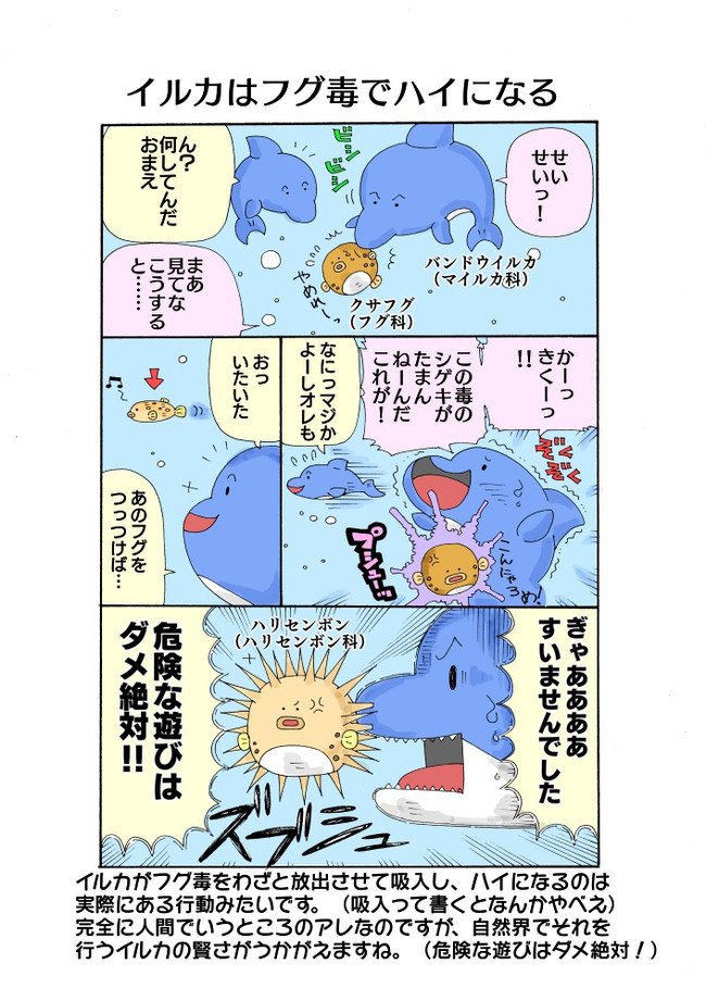 イルカはフグ毒でハイになる 第1話 イルカ マンボウ いぬころすけ ニコニコ漫画