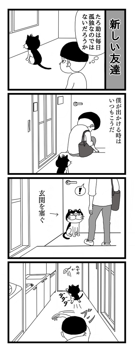 ミニマリスト 猫と暮らす 21 新しい友達 みやもと星人 ニコニコ漫画