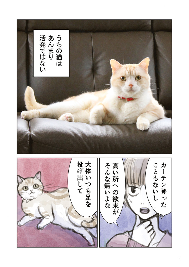 百万回描かれてる漫画家と猫の漫画 第3話 運動神経 岩村月子 ニコニコ漫画