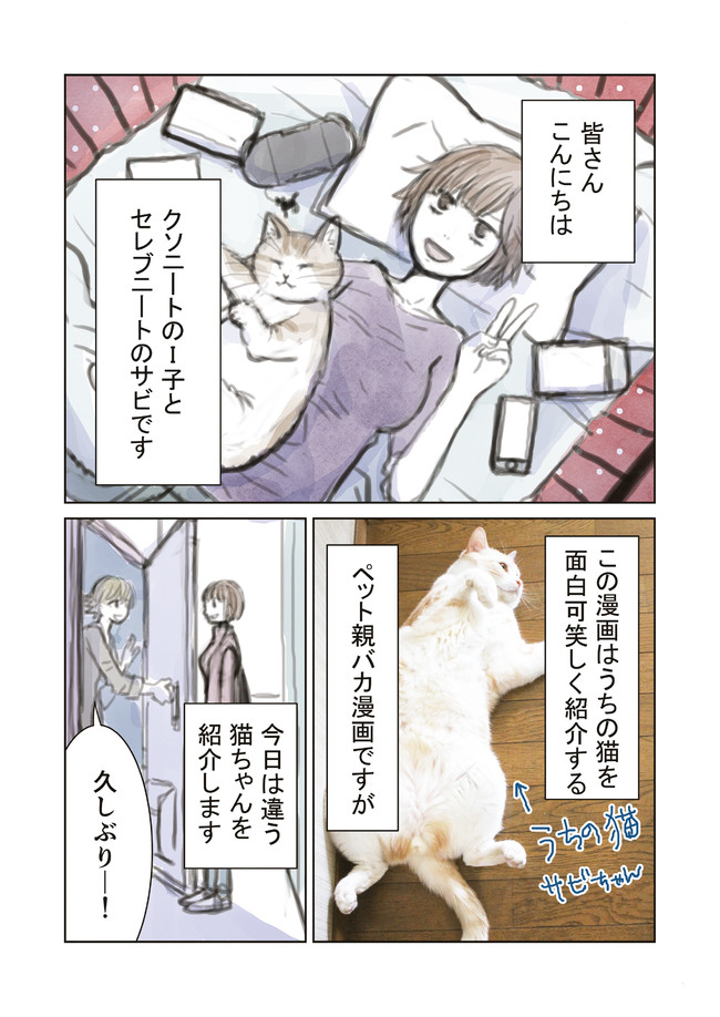 百万回描かれてる漫画家と猫の漫画 第3 5話 他人の猫アンちゃん編 岩村月子 ニコニコ漫画