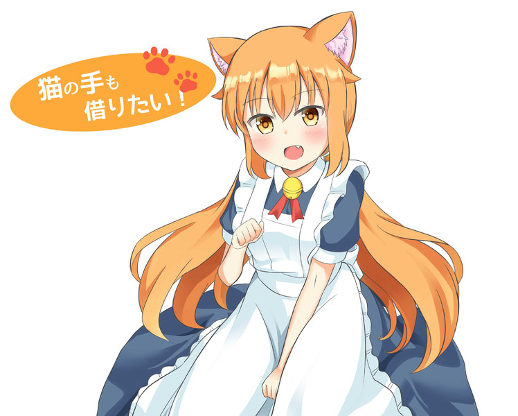 猫の手も借りたい ぎっちょ おすすめ無料漫画 ニコニコ漫画