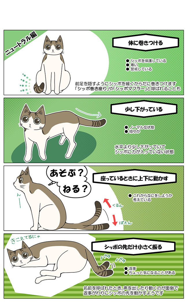 猫との暮らしを始めてみた 1 第91話 シッポで分かる猫の気持ち Yana Y ニコニコ漫画