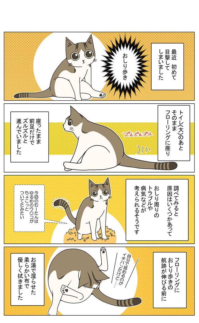 猫との暮らしを始めてみた 2 第111話 おしり歩き Yana Y ニコニコ漫画