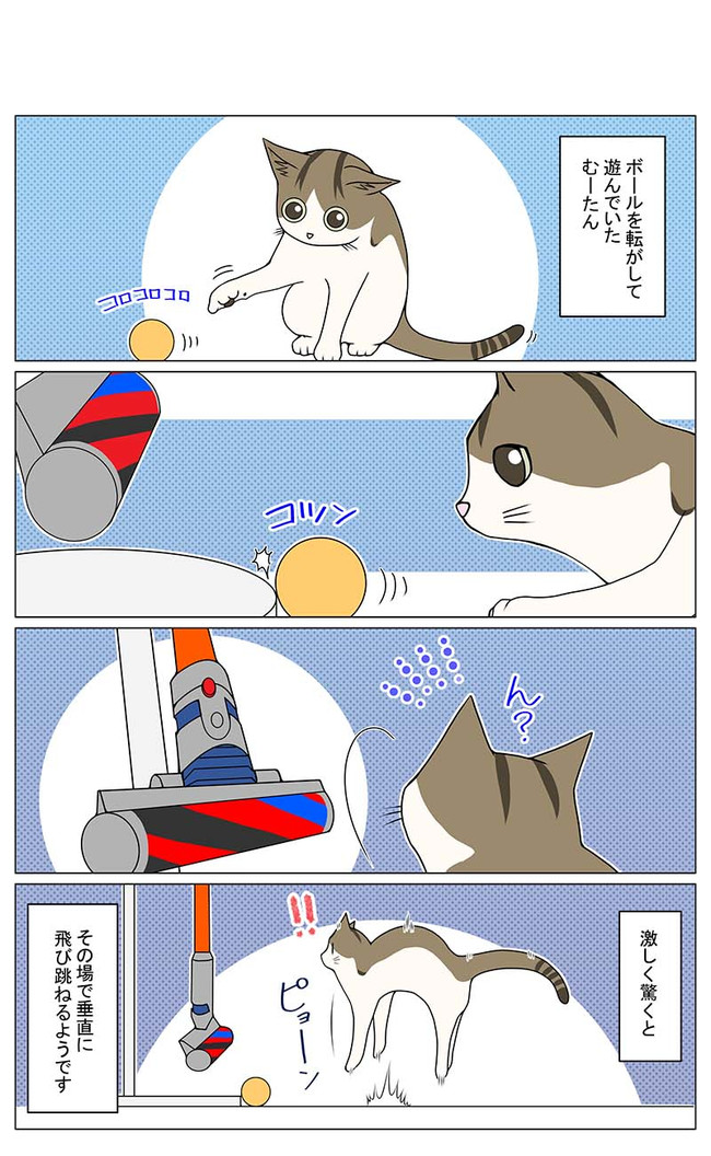 猫との暮らしを始めてみた 2 第143話 垂直飛び Yana Y ニコニコ漫画