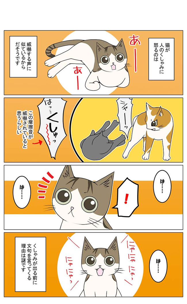 猫との暮らしを始めてみた 2 第155話 猫がくしゃみで怒る理由 Yana Y ニコニコ漫画