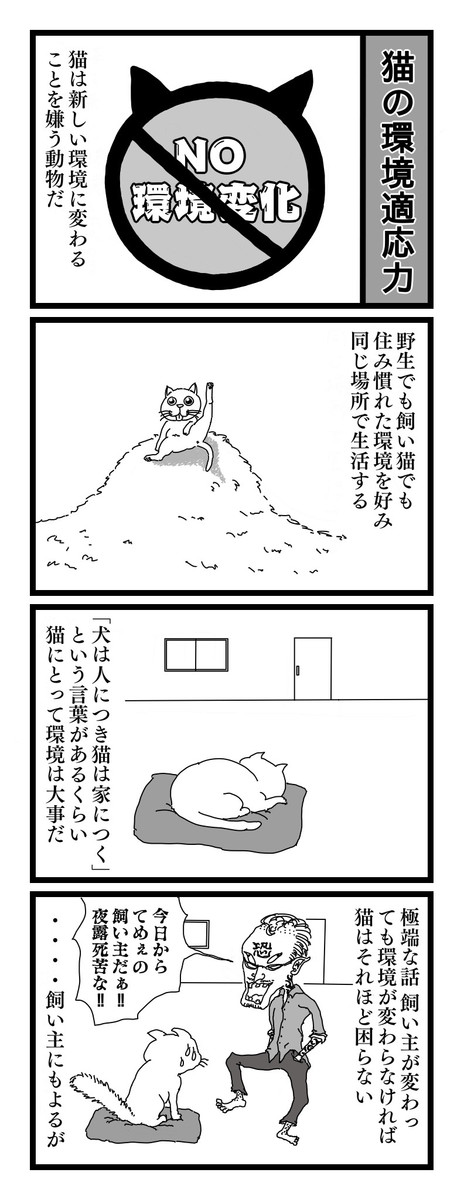 ミニマリスト 猫と暮らす 12 猫の環境適応力 みやもと星人 ニコニコ漫画