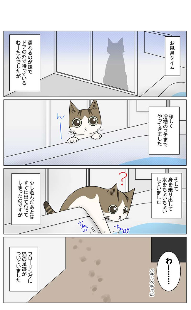 猫との暮らしを始めてみた 3 第193話 お風呂の水に興味アリ Yana Y ニコニコ漫画