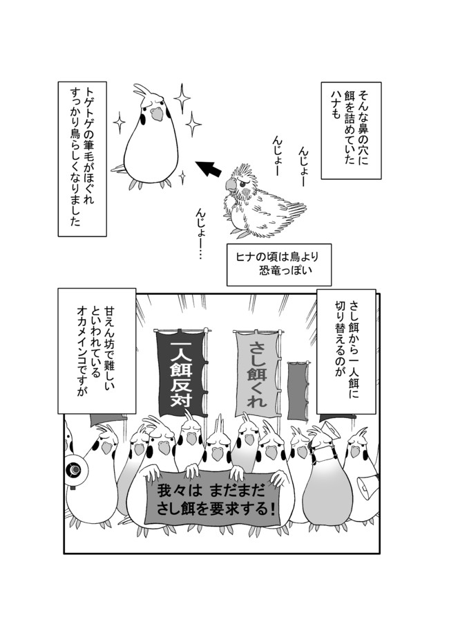 いいちこインコ 第2話 飛翔 いいちこインコ 花沢りん吉 ニコニコ漫画