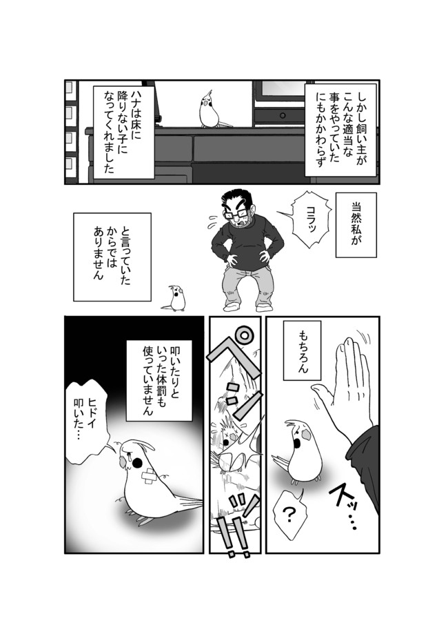 いいちこインコ 第6話 試練の結末 いいちこインコ 花沢りん吉 ニコニコ漫画