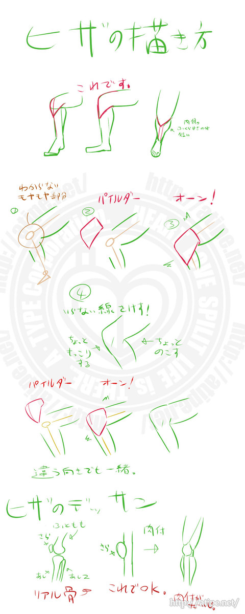 松さんのお絵かきの参考になったらいいなー講座 追加資料 膝と太ももの描き方 松 A ｔｙｐｅｃｏｒｐ ニコニコ漫画