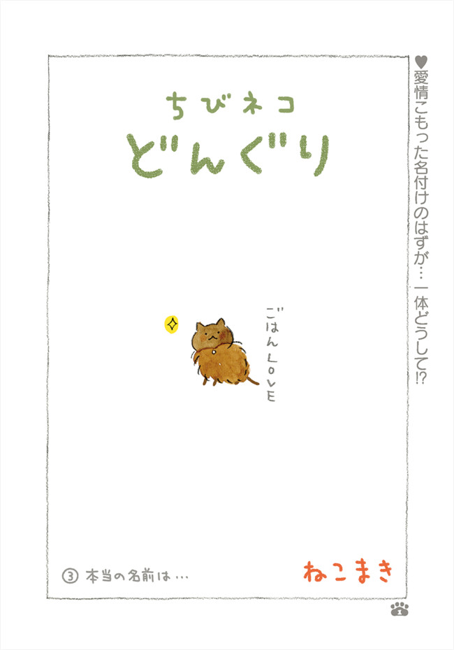 ちびネコどんぐり 第3話 本当の名前は ねこまき ミューズワーク ニコニコ漫画