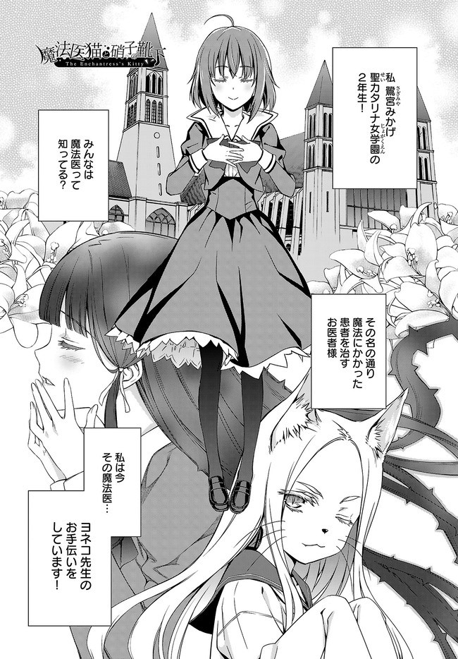 魔法医猫といばら姫 魔法医猫と硝子の靴下 前編 森山大輔 ニコニコ漫画