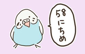 ちょっぴりおしゃべりで ちょっぴり個性的などうぶつさんたち 58にちめ もじゃクッキー ニコニコ漫画