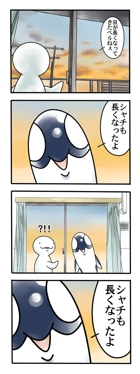 ベルーガとシャチ ４コマ シャチと顔芸 いいわか こね ニコニコ漫画