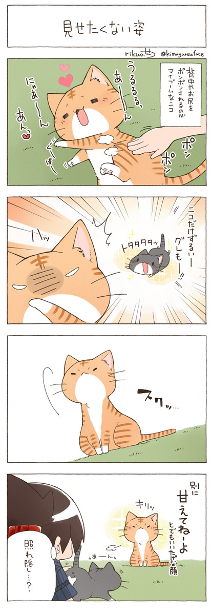 にゃんこ暮らし 第3回 りくお ニコニコ漫画