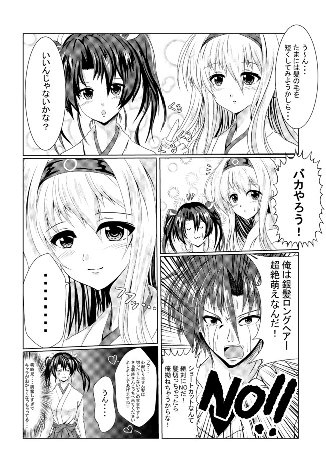 銀の鶴翼 零 第27話 髪の毛 けんたん ニコニコ漫画