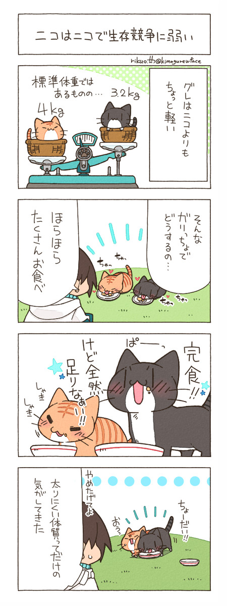 にゃんこ暮らし 第40回 りくお ニコニコ漫画