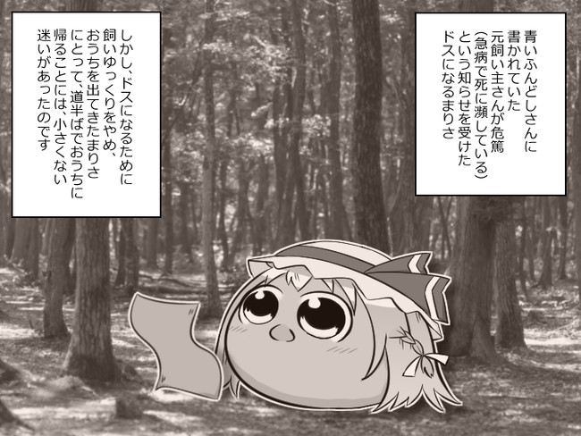 まりさ ドス