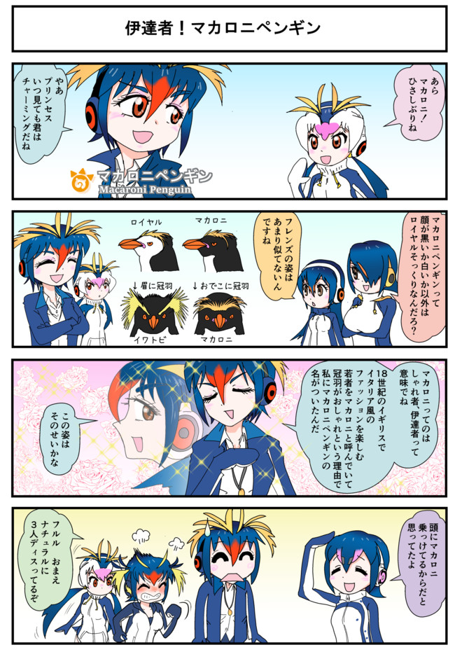 Pppと学ぶペンギン雑学 第7話 伊達者 マカロニペンギン 堂嶋大輔 ドージマ ダイスケ ニコニコ漫画