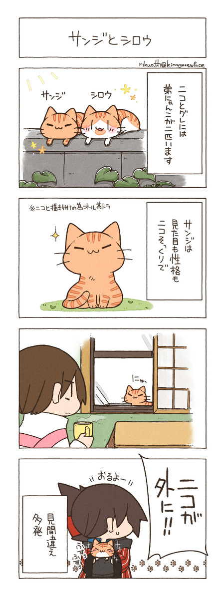 にゃんこ暮らし 第74回 りくお ニコニコ漫画