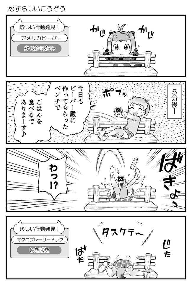 けもフレ4コマ漫画 第50話 めずらしいこうどう 山口さぷり 例の部屋1巻配信中 ニコニコ漫画