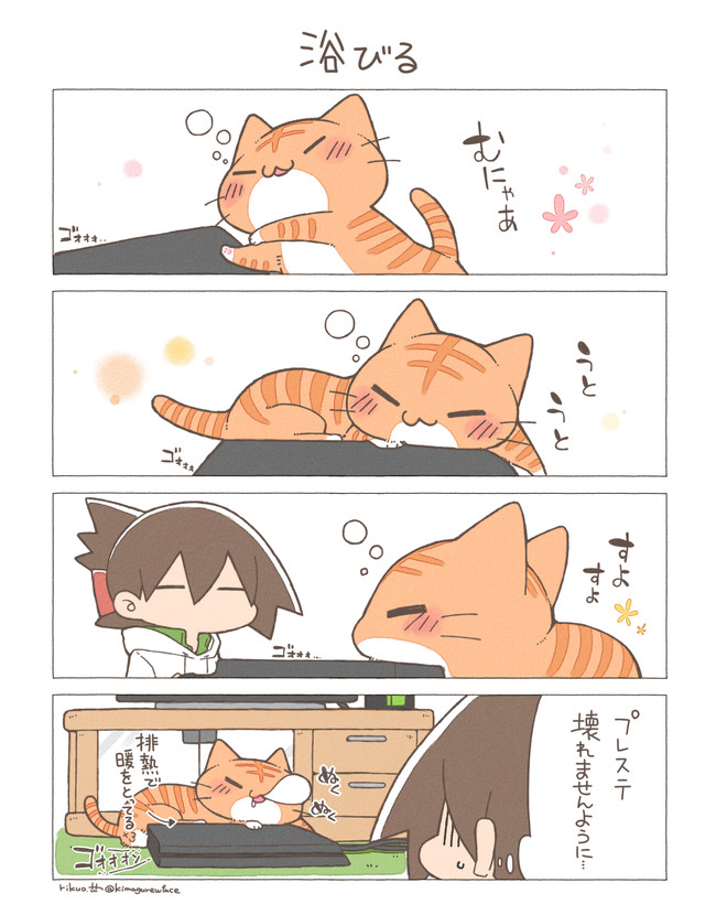 にゃんこ暮らし 二枠目 第8話 りくお ニコニコ漫画