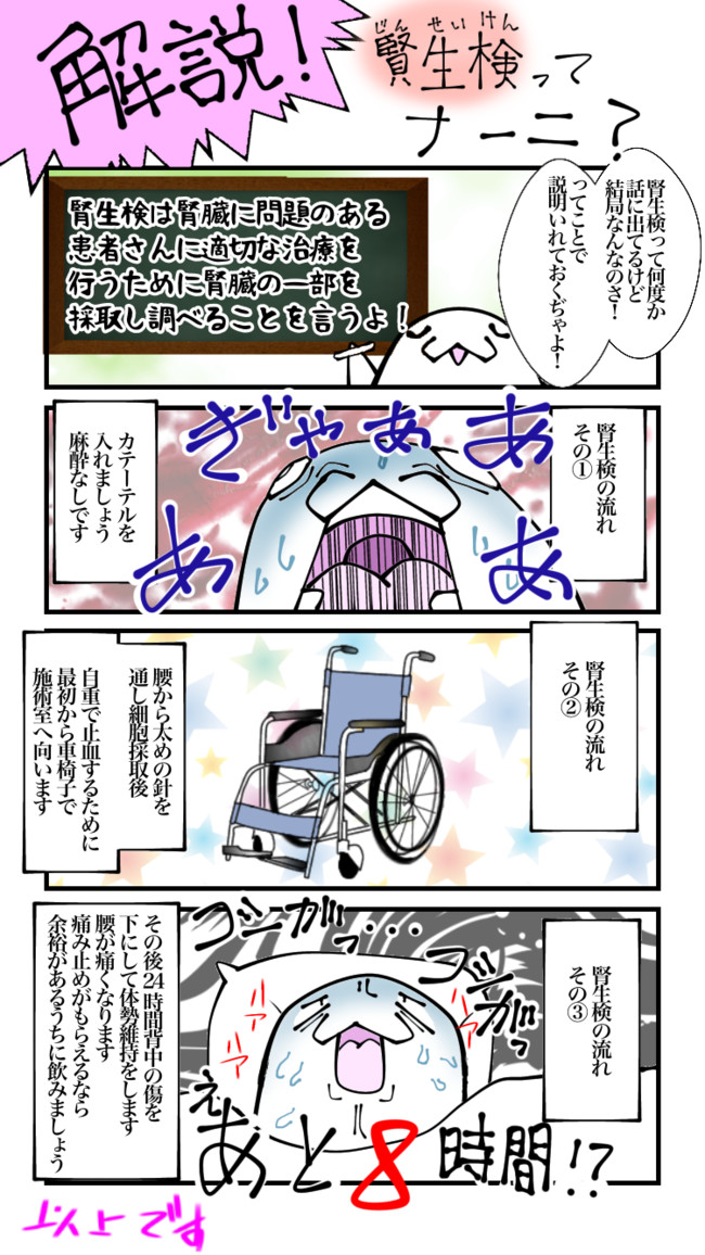 しらたまさんの 入院日記 新人さんと腎生検編 しらたま ニコニコ漫画