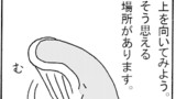 第383話 事実は小説よりも鬼なり，第384話 上を向いて歩こう