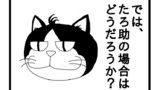 #12 猫の環境適応力
