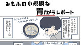 みもふの小規模な胃カメラレポート