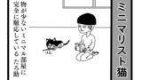 #13 ミニマリスト猫