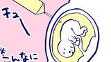 漫画描き、再度妊娠する　その5～出生前診断～
