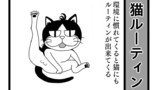 #22 猫ルーティン