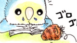 第9話　かいどりさんの秋