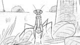 カマキリ
