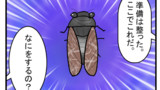 第六十九話　セミの死骸
