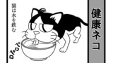 #35 健康ネコ