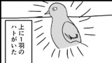 第7爆 「ハト」