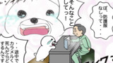 友達の犬くん５