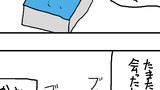 36日目