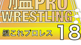 【8/15神戸かわさき新刊】艦これプロレス18