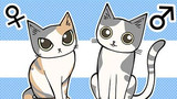 第1話　お迎えする猫