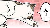 第27話　猫も夢を見て寝言を言う