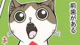第44話　猫のからだ